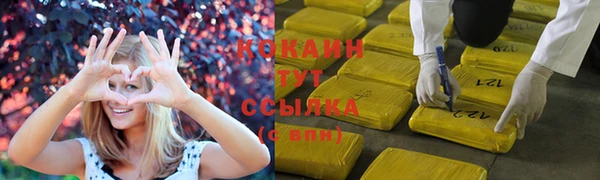 трава Аркадак