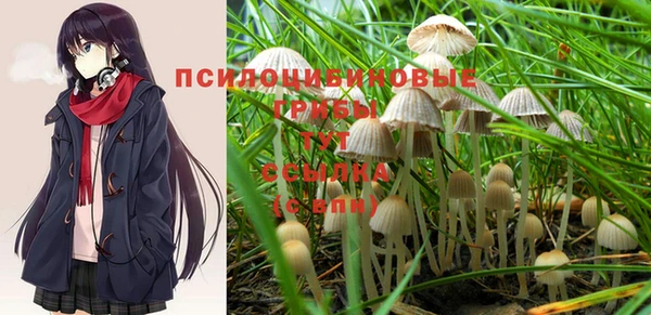 трава Аркадак