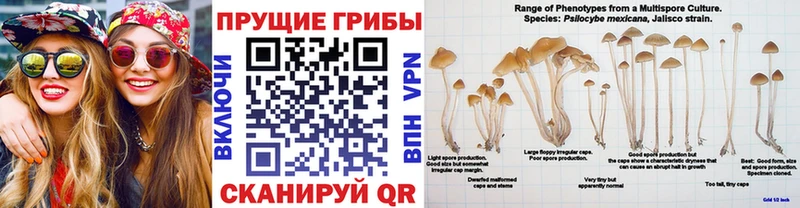 MEGA ССЫЛКА  Козьмодемьянск  Галлюциногенные грибы прущие грибы 